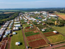 Show Rural Coopavel 2022: IDR-Paraná promove 13 atividades
