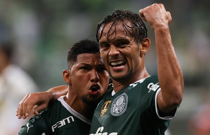 São Bernardo x Palmeiras AO VIVO: onde assistir ao Paulistão
