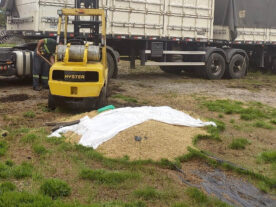 Polícia recupera 35 toneladas de cevada e insumos agrícolas em Paranaguá