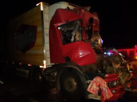 Motorista de caminhão carregado com carne morre na BR-373, em Ponta Grossa