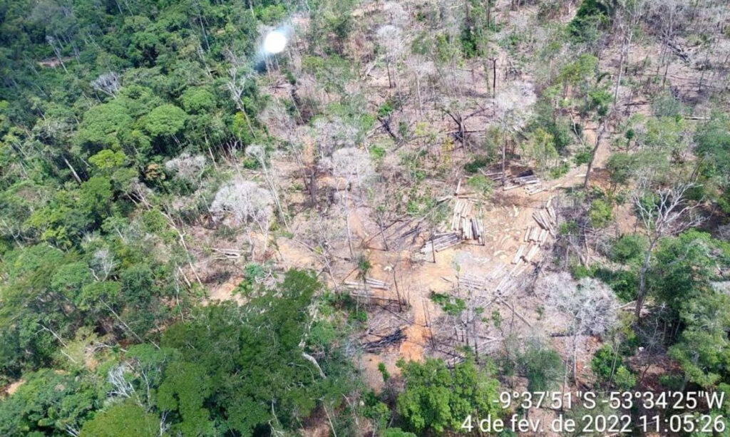 Brasil lidera derrubada de florestas tropicais no mundo