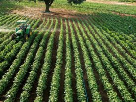 Valor da Produção Agropecuária de 2022 deve chegar a R$ 1,227 trilhão