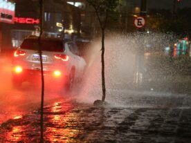 Curitiba tem quedas de árvores, falta de energia e água pelas chuvas
