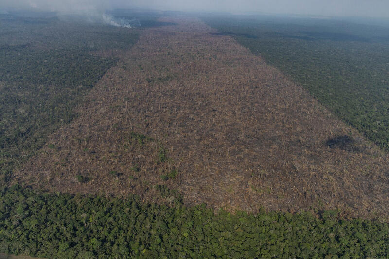 Amazônia tem recorde de desmate em abril, com mais 1.000 km2 derrubados