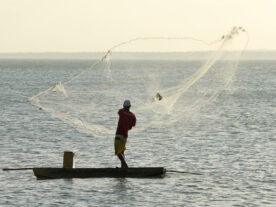 Mapa suspende mais 12,7 mil licenças irregulares de pescadores profissionais