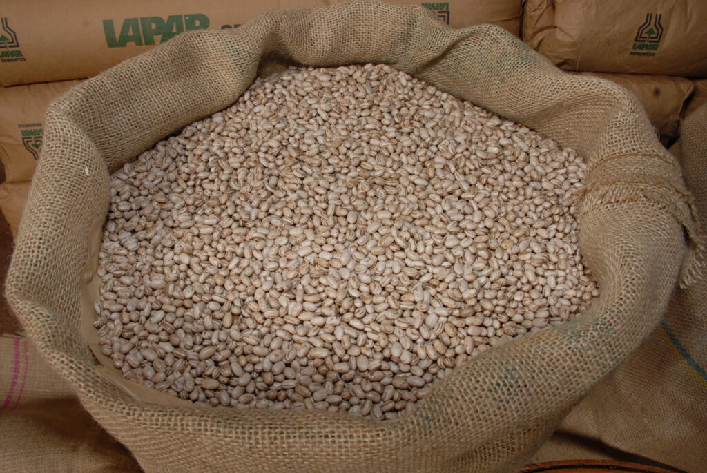 Adapar coíbe uso abusivo de agrotóxicos em plantações de feijão