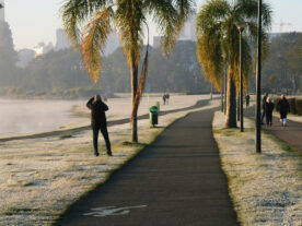 Curitiba registra geada e dia mais frio do ano; veja a previsão para a semana