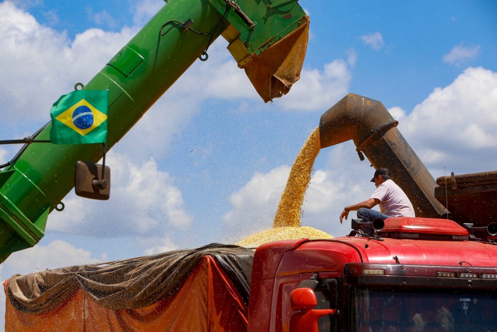 Milho: Com previsão de 16 toneladas, colheita da 2ª safra começa no Paraná