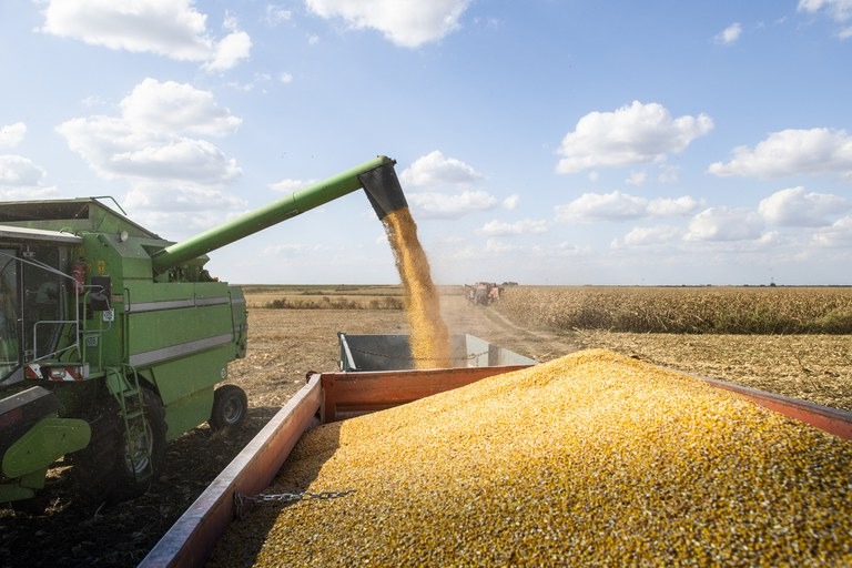 Produção de grãos deve atingir 272,5 mi de toneladas no Brasil