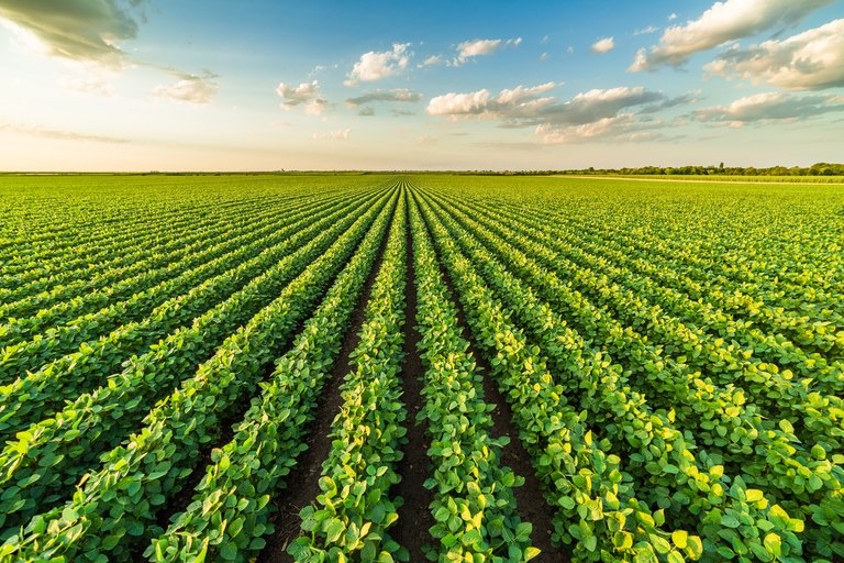 Valor da Produção Agropecuária de 2022 é estimado em R$ 1,2 tri