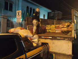 Polícia apreende mais de 6 toneladas de maconha no Paraná