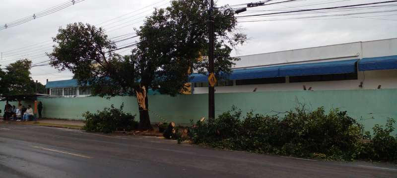 Vendaval derruba árvores e causa estragos em Londrina