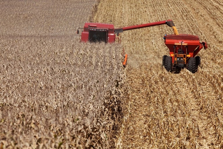 Valor da produção agropecuária de 2022 está estimado em R$ 1,207 trilhão