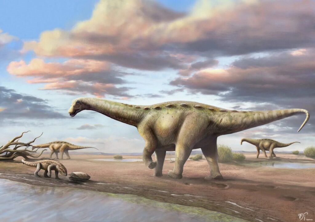 Dinossauro pescoçudo ‘anão’ é encontrado no interior de São Paulo