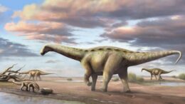 Dinossauro pescoçudo ‘anão’ é encontrado no interior de São Paulo