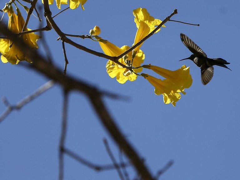 Último dia da primavera será de temperaturas elevadas no Paraná; previsão