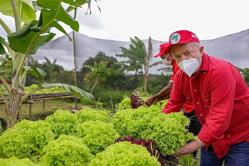 Lula prepara carta para o agronegócio e leva Tebet a palanque para reconquistar setor