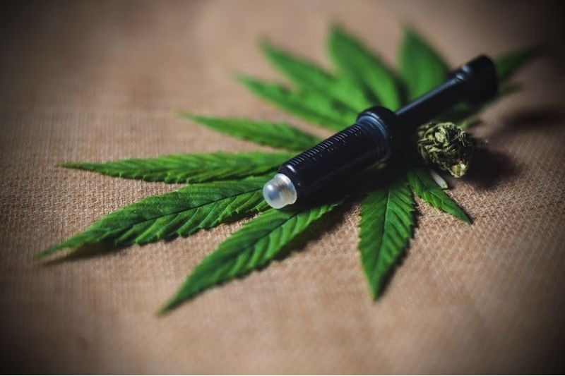 CFM abrirá consulta pública sobre uso da cannabis medicinal