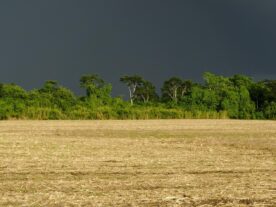 Chuva afeta produção nas lavouras e estradas rurais do Paraná