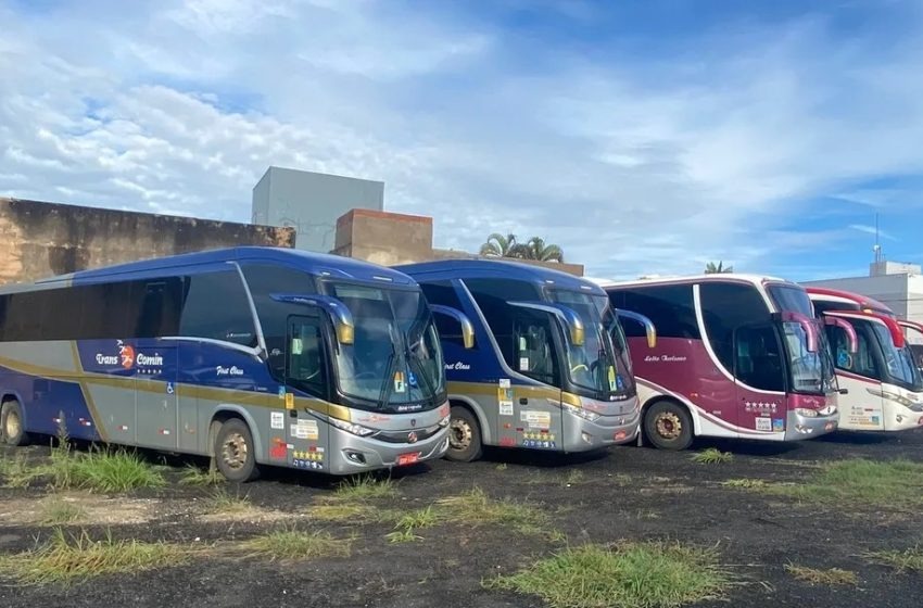 Paraná é o segundo estado com mais ônibus apreendidos em Brasília