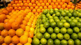 Frutas registram queda de preço no Brasil, diz Conab