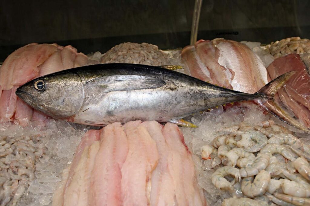 Variação no preço dos pescados é de até 150%, diz Procon Maringá