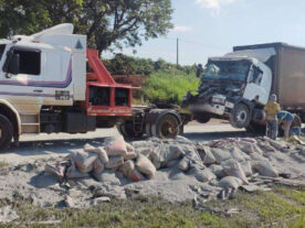 Caminhão carregado com 14 toneladas de cimento tomba na BR-369