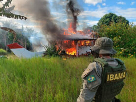 PF e Forças Armadas fazem operação contra garimpo na Terra Yanomami