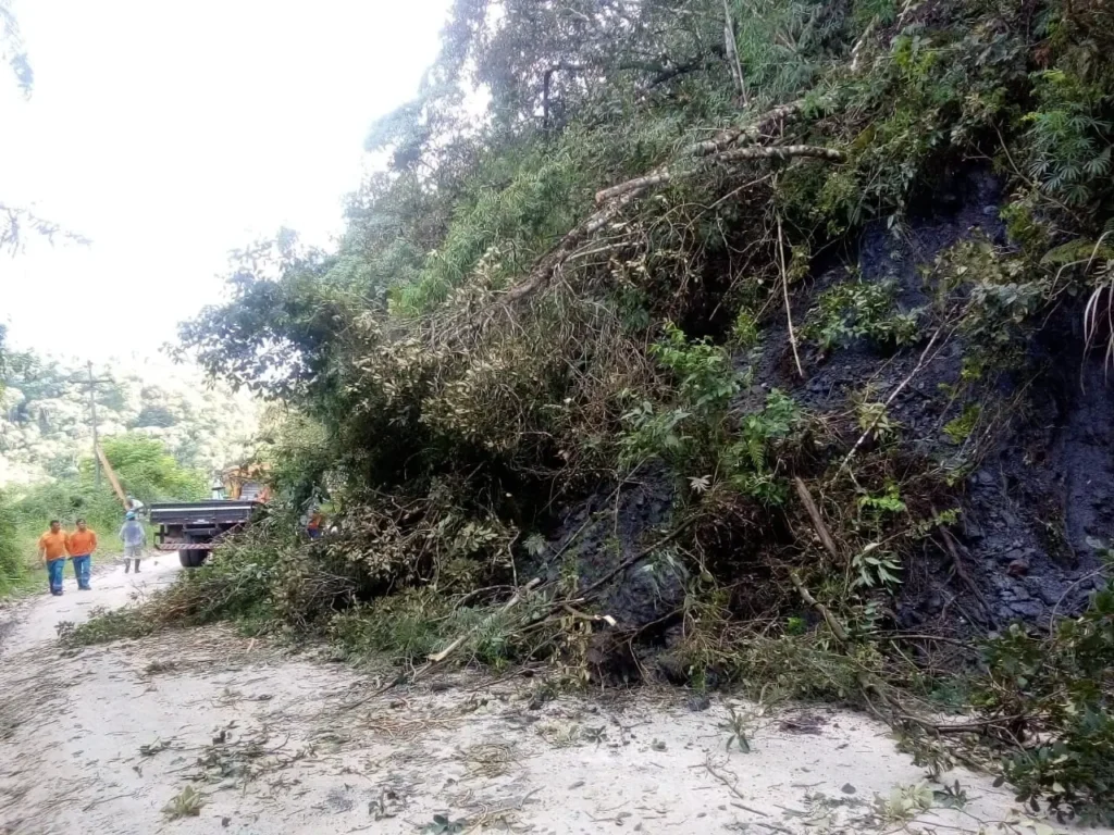 PR-090 é atingida por queda de barreira, em Campo Largo