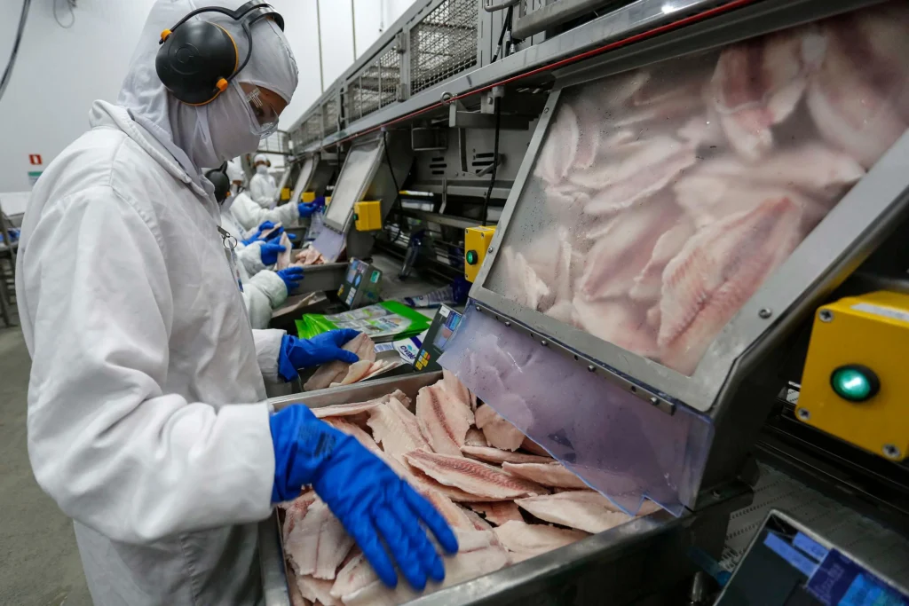 Paraná lidera produção e exportação de carne de peixe no país