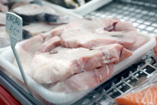 Semana Santa: veja dicas e cuidados para a escolha de pescados