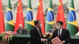 China e Brasil definem termos para exportação de farinha de proteína animal