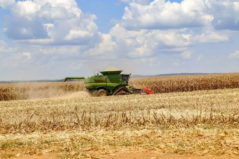 Produção de soja do Paraná aumenta 83% em um ano, diz Deral