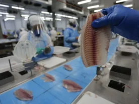 Puxadas pelo Paraná, exportações de peixes crescem em 2023