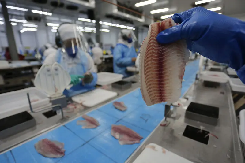 Exportação de peixes tem crescimento exponencial no Paraná