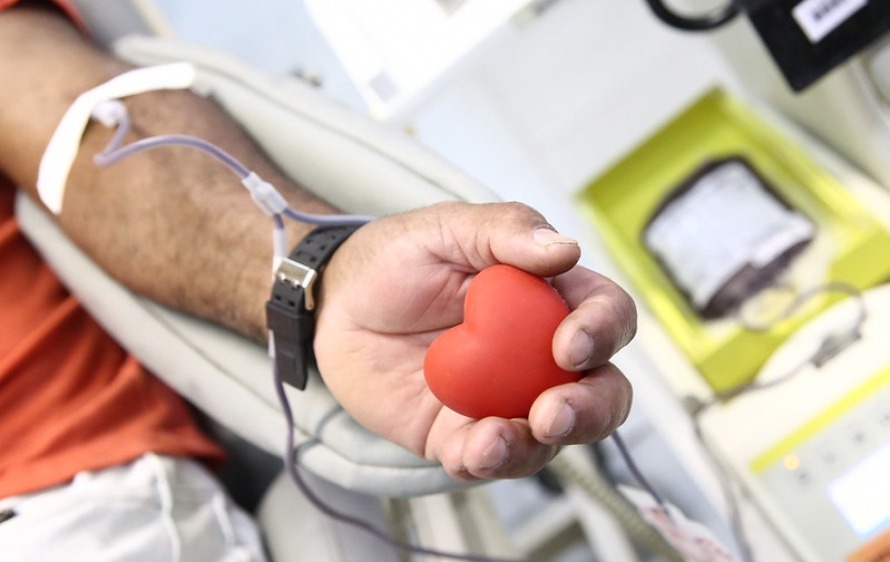 Doação de Sangue: 96 mil paranaenses salvaram vidas neste ano