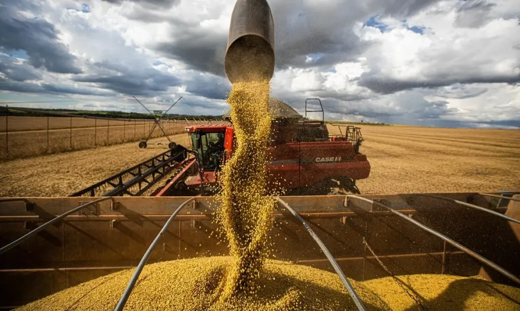 Paraná deve produzir 18,8 milhões de toneladas de soja