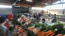 Cenoura fica 29% mais barata em Curitiba em maio, diz Conab