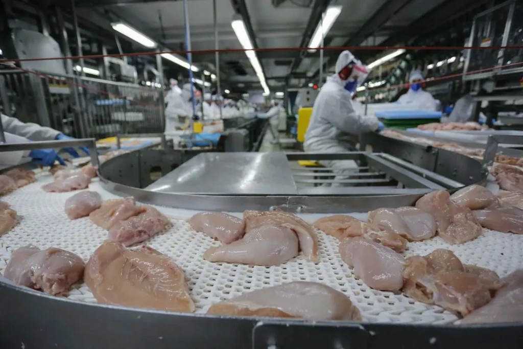 Exportações de carne de frango crescem no primeiro semestre