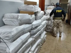 Polícia apreende 1,5 tonelada de maconha no Norte do Paraná