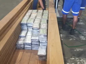 Quadrilha ocultava cocaína em cargas de madeira no Porto de Paranaguá