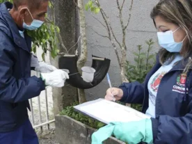 Curitiba recebe mutirão contra a dengue nesta quinta-feira