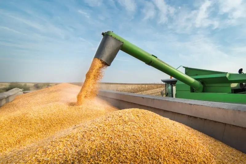 Produção brasileira de grãos deverá chegar a 390 milhões de toneladas até 2032