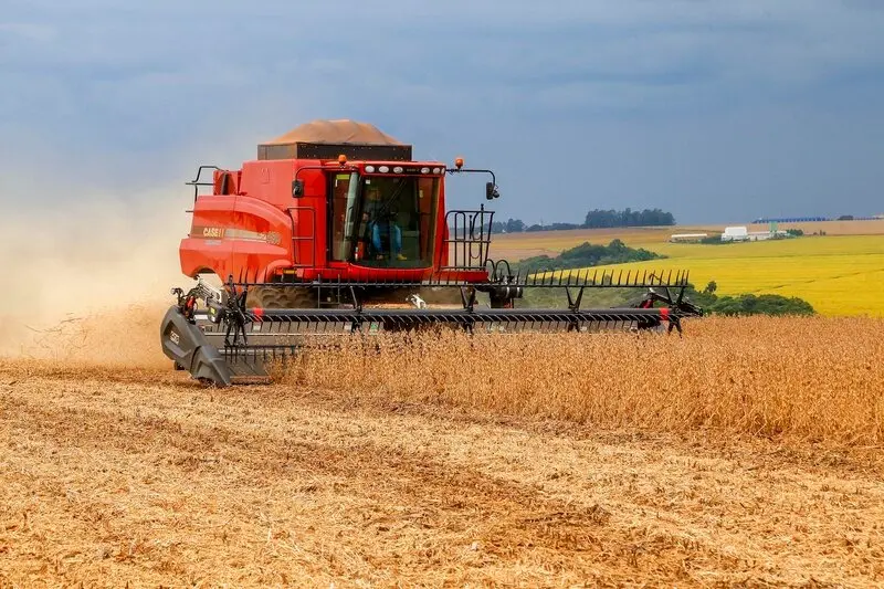 Crescimento na produção de grãos no Paraná é estimada em 34,9%, aponta Conab