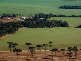 Estudo traça perfil das propriedades rurais do Paraná