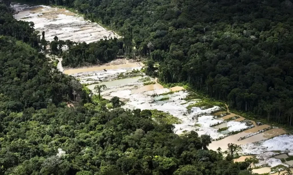 Maior devastador da Amazônia investigado pela PF é preso