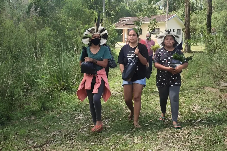 Paraná tem mais de 30 mil indígenas, diz Censo 2022