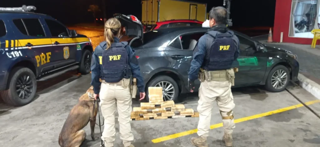 Polícia apreende carga milionária de cocaína em Paranaguá