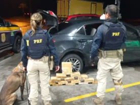 Polícia apreende carga milionária de cocaína em Paranaguá
