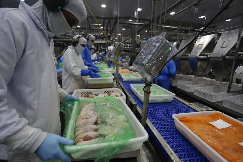 Abates de frango aumentam 4,7% no Paraná, diz Deral